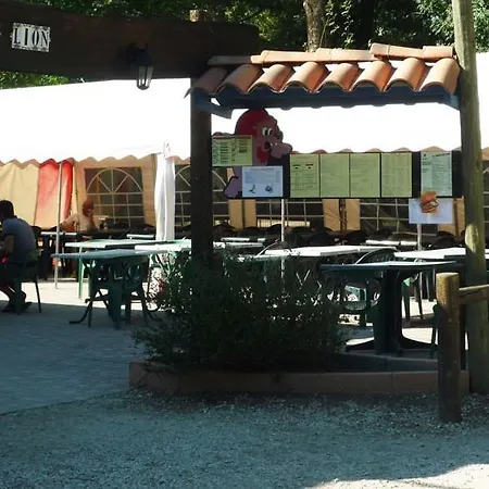 Camping Camping Le Lion *