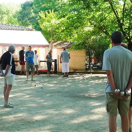 Camping Camping Le Lion *
